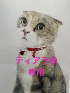 彩りターコイズホヌレッドグリーンペルシャジェイドブレスレット 