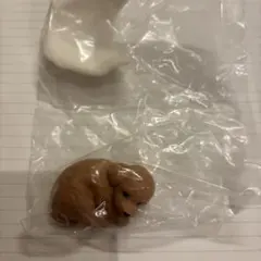 トイプードル カプセルトイ