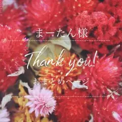 まーたん(フォロワー様まとめ購入お値引有様 リクエスト 2点 まとめ商品