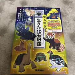 ✨koushi✨様 リクエスト 2点 まとめ商品