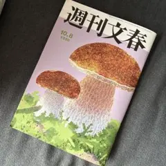 週刊文春　10月1日発売　10月8日号　タイムレス　猪俣　石原さとみ　2026