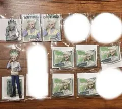 くじ引き堂 Dr.STONE 読書の秋編 石神千空 アクスタ　缶バッジ　セット