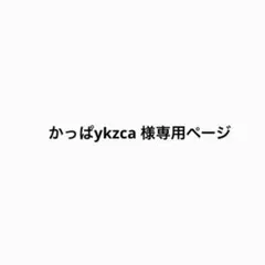 【かっぱykzca様】専用ページ