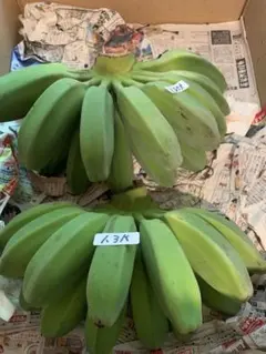 かいがら様　専用