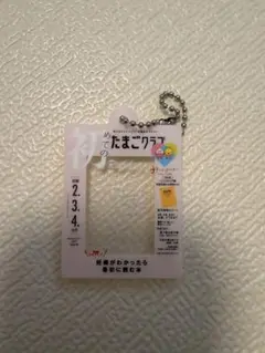たまごクラブ ひよこクラブのだれでもアクリルチャーム2 初めてのひよこクラブ