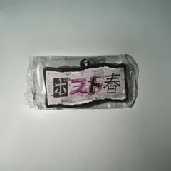 ヨルシカ 一人称ガチャ キーホルダー　「ポスト春」