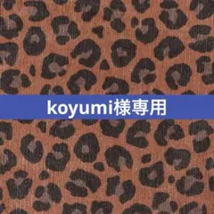 koyumi様 リクエスト 2点 まとめ商品