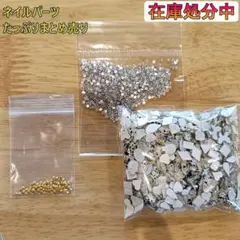 ネイルパーツ 大量まとめ売り 在庫処分セール 44gセット ウズラ柄フラット
