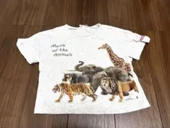 サマンサモスモス　Tシャツ　トップス　動物　110のサムネイル