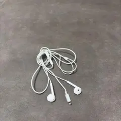 ホワイト インイヤー 有線イヤホン Lightning