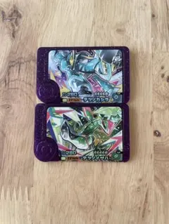 ポケモンフレンダ テツノカシラ/テツノイサハ　平日購入で当日発送◎