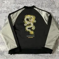 Item thumbnail for item 9632125c-e57d-47a9-bbd0-667466156160