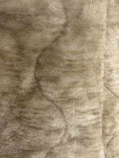 nウォーム シーツ