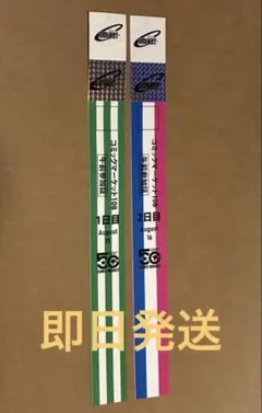 匿名送料込】コミックマーケットC108 午前入場リストバンド2日目 2枚