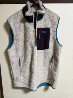 Patagonia Classic Retro-X パタゴニア レトロX ベスト