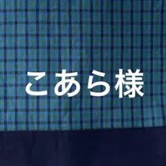 Item thumbnail for item bf446808-d58c-4c5d-acf9-da80b3f526c6