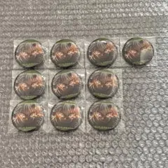 鬼滅の刃 不死川実弥 無限城編 ものがたる眼差し コレクション缶バッジ