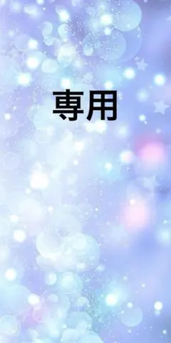 専用