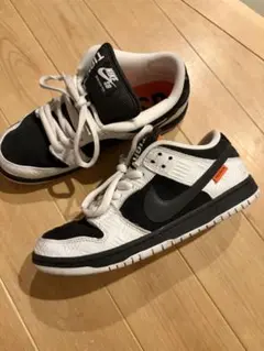 TIGHTBOOTH × NIKE SB DUNK LOW PRO QS