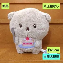 新品　いしよわちゃん　ぬいぐるみBIG　Part2　ケーキ　匿名配送