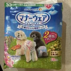 Item thumbnail for item 5e542ed1-c2b0-4447-b75d-089b25c82821