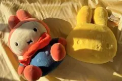 2025年最新】雪の日ミッフィーの人気アイテム - メルカリ