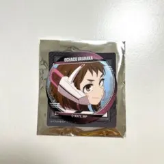 ウォールテクスチャ缶バッジコレクション Vol.2 お茶子