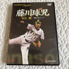 藤川球児 気力一瞬 熱闘の46セーブ DVD