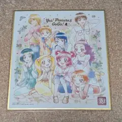 2026年最新】プリキュア/シリーズ：Yes！プリキュア5 キャラクター