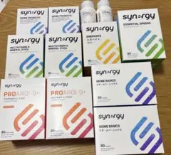 2025年最新】シナジーワールドワイドジャパン メガの人気