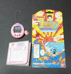 2025年最新】玉緒っちの人気アイテム - メルカリ