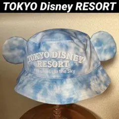 【未着用】 ディズニーリゾート　バルーン　バケハ　キャップ タグ付き