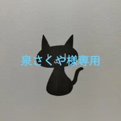 泉さくや様専用ページ