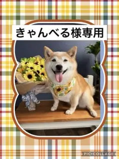 きゃんべる様専用　4重ガーゼハンカチ