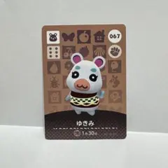 まとめ割あり あつ森 amiiboカード 067 ゆきみ
