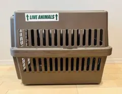 Item thumbnail for item 3b6cea9b-27fe-4840-8a7c-62603a394d0e