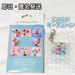 イマジニングザマジック　ドナルド　キーチェーン　ディズニー　ベリミニ