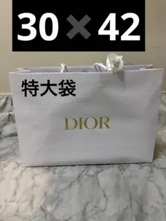 DIOR プレゼント　大袋　特大袋　ショップ袋　ショッパー　ホリデーリボン