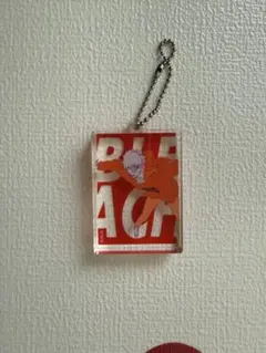 BLEACH 黒崎一護 アクリルキーホルダー