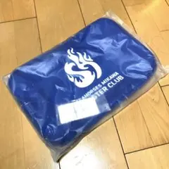 新品 未開封 非売品 Bリーグ シーホース三河 コンバース シューズバッグ 青