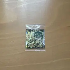 ジョジョの奇妙な冒険　シール　ウエハース　ジョナサンジョースター　JJR 未開封