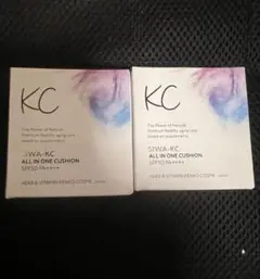 SIWA-KC オールインワンクッション ナチュラルベージュ 2点