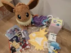 ピカピカボックス2026 金のコイキング ショルダーバッグ ポケモン福袋