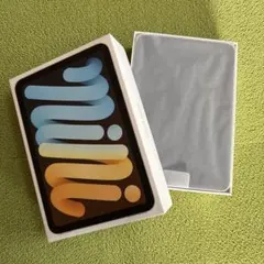 超美品iPad mini 256GB第6世代(Wi-Fi)Star light