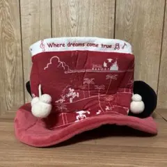 東京ディズニーリゾート ミッキーハット ポップコーン