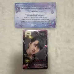 StrayKids チャンビン SSJYPリアルカードトレカ