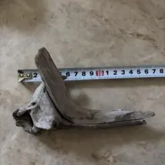 天然流木 レイアウト素材 自然流木