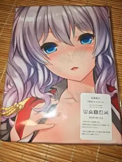 e キャラクター　抱き枕カバー 160cm×50cm