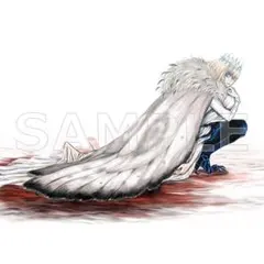 2026年最新】オベロン アクリルパネルの人気アイテム - メルカリ