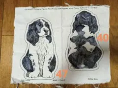 Item thumbnail for item 8411a3a1-46c3-46bc-adbf-de103cacbd5f